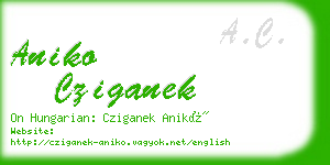 aniko cziganek business card